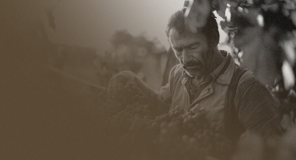 AI powered platform for vineyard management